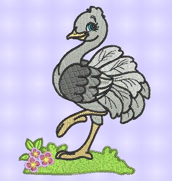 Ostrich sample