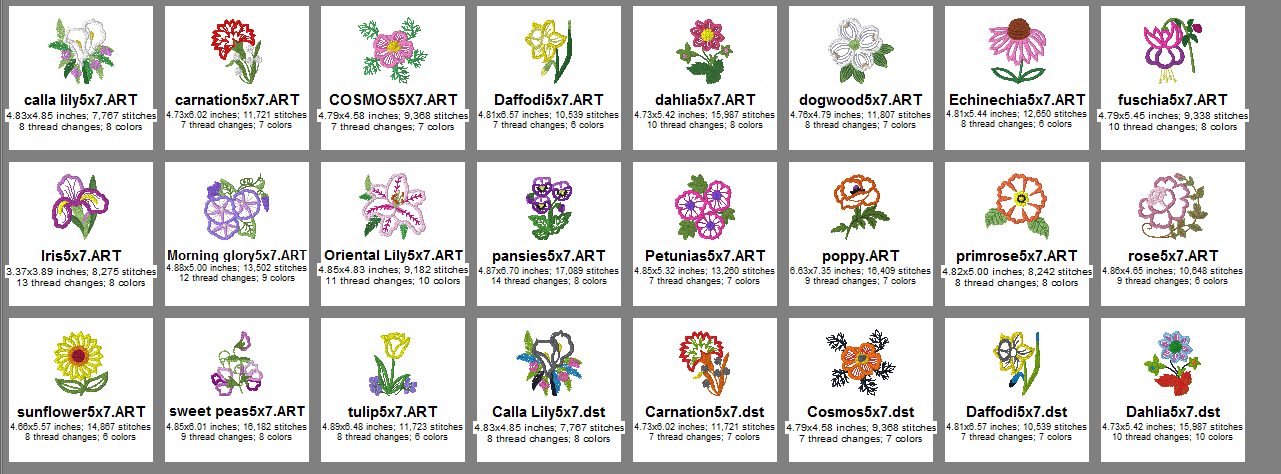 Applique Florals 5x7 Size Chart